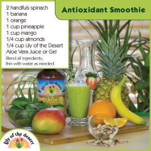 antioxidant rich smoothie recipe with aloe vera juice - Lily of the Desert