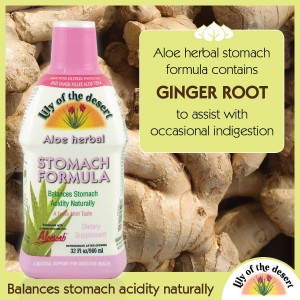 aloe herbal stomach formula contains ginger root to soothe stomach - Lily of the Desert
