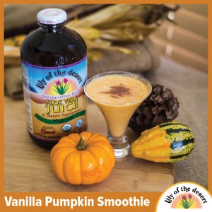 Vanilla pumpkin smoothie recipe - Lily of the Desert