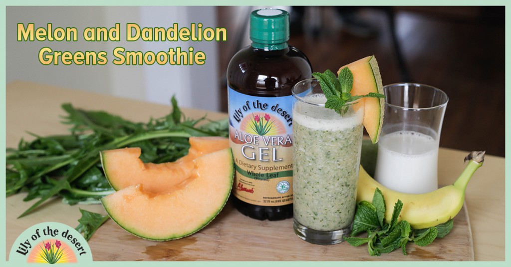 melon dandelion greens smoothie recipe - Lily of the Desert