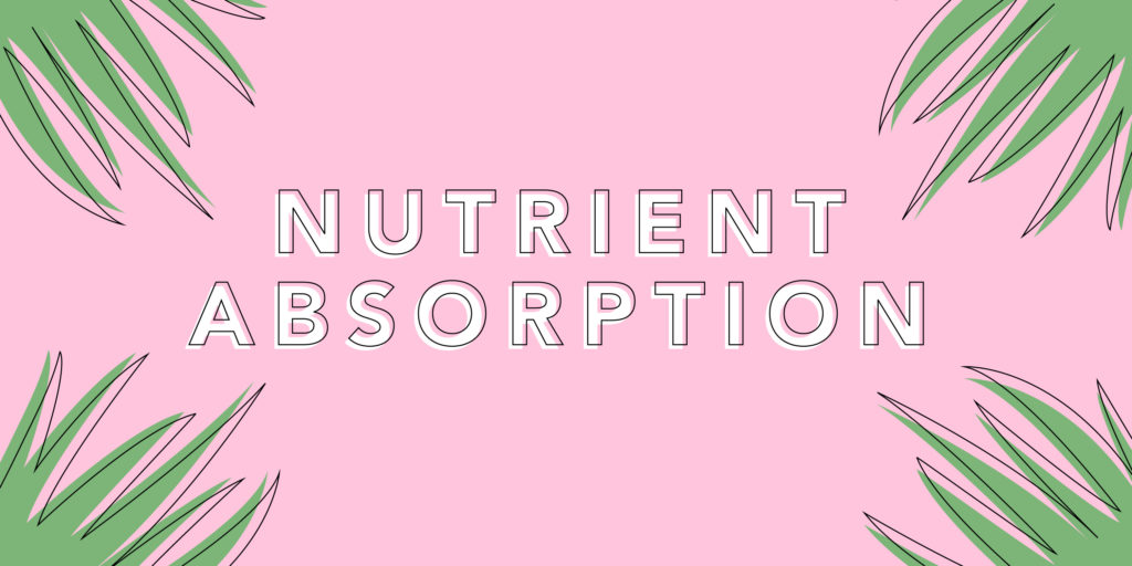 Importance of nutrient absorption - Lily of the Desert