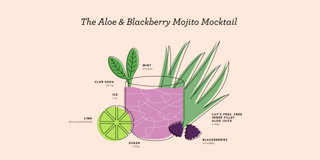 Aloe and blackberry mojito mocktail recipe - Lily of the Desert
