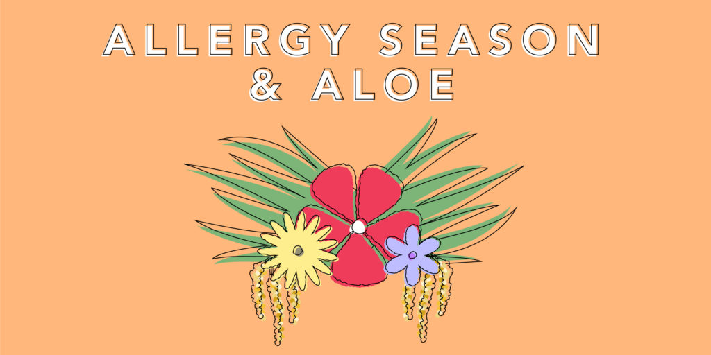 Benefit of using aloe during allergy season - Lily of the Desert
