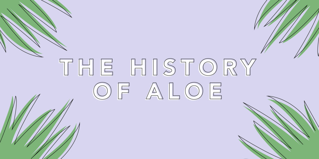 History of aloe vera - Lily of the Desert