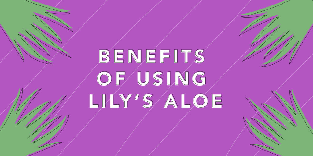 Facts about Lily of the Desert's aloe vera