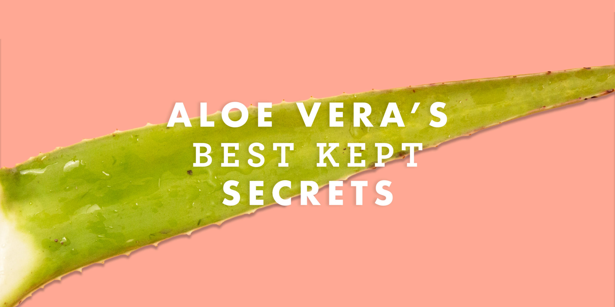 Aloe Facts & Best Kept Secrets
