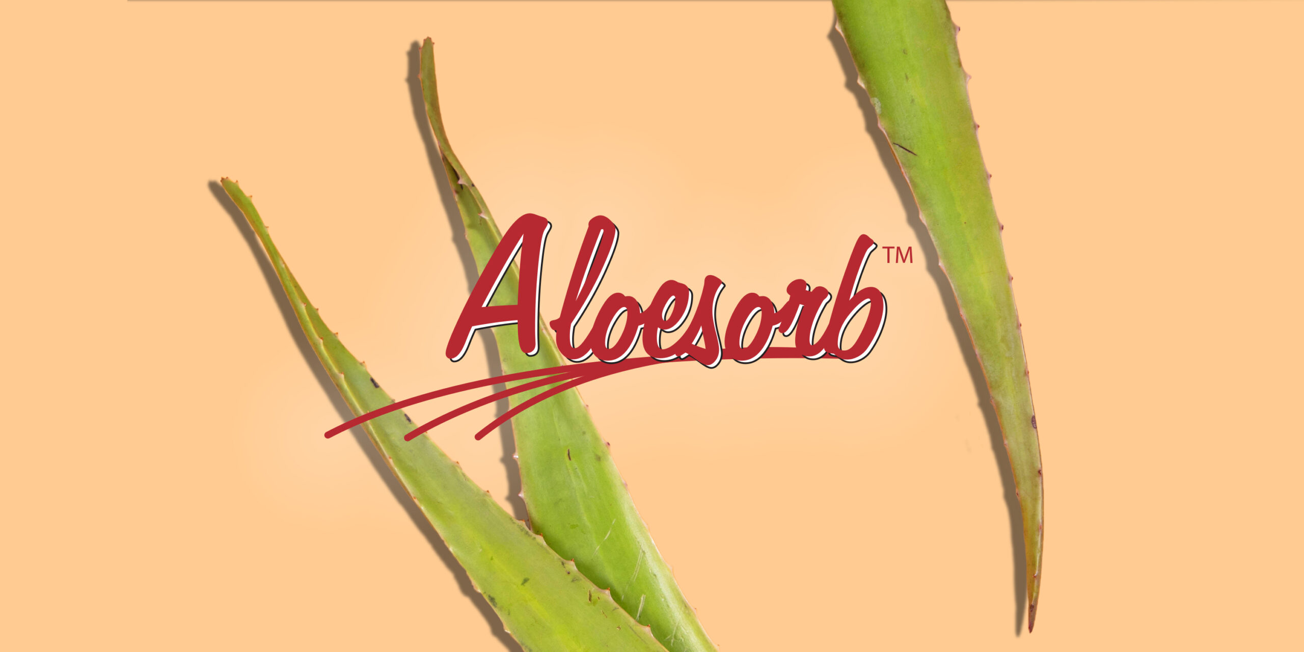 Why Aloesorb Makes Aloe Better - Lily of the Desert