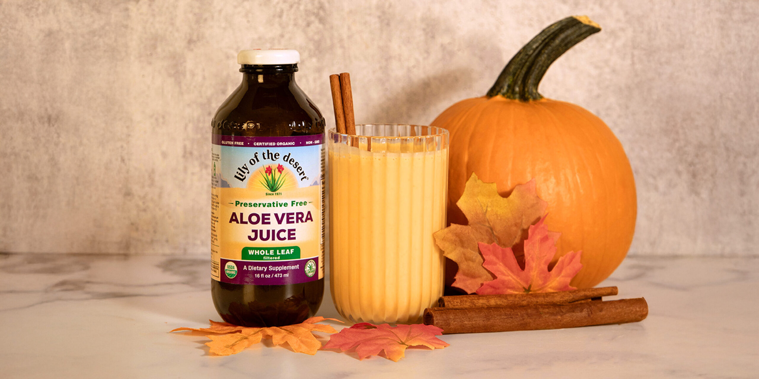 Pumpkin Spice Aloe Smoothie: A Fall Superdrink