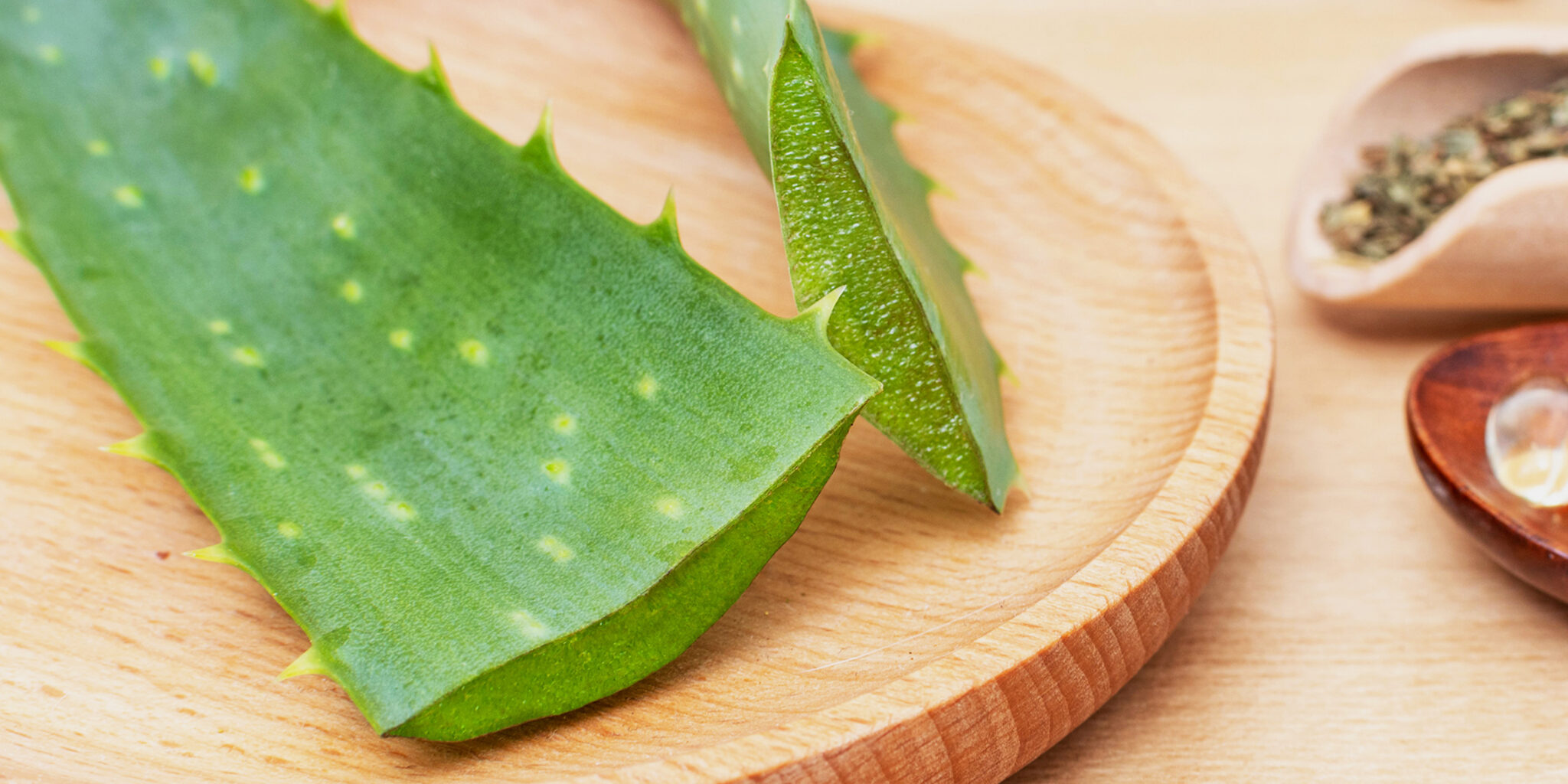 Inner Fillet vs Whole Leaf Aloe Vera Benefits